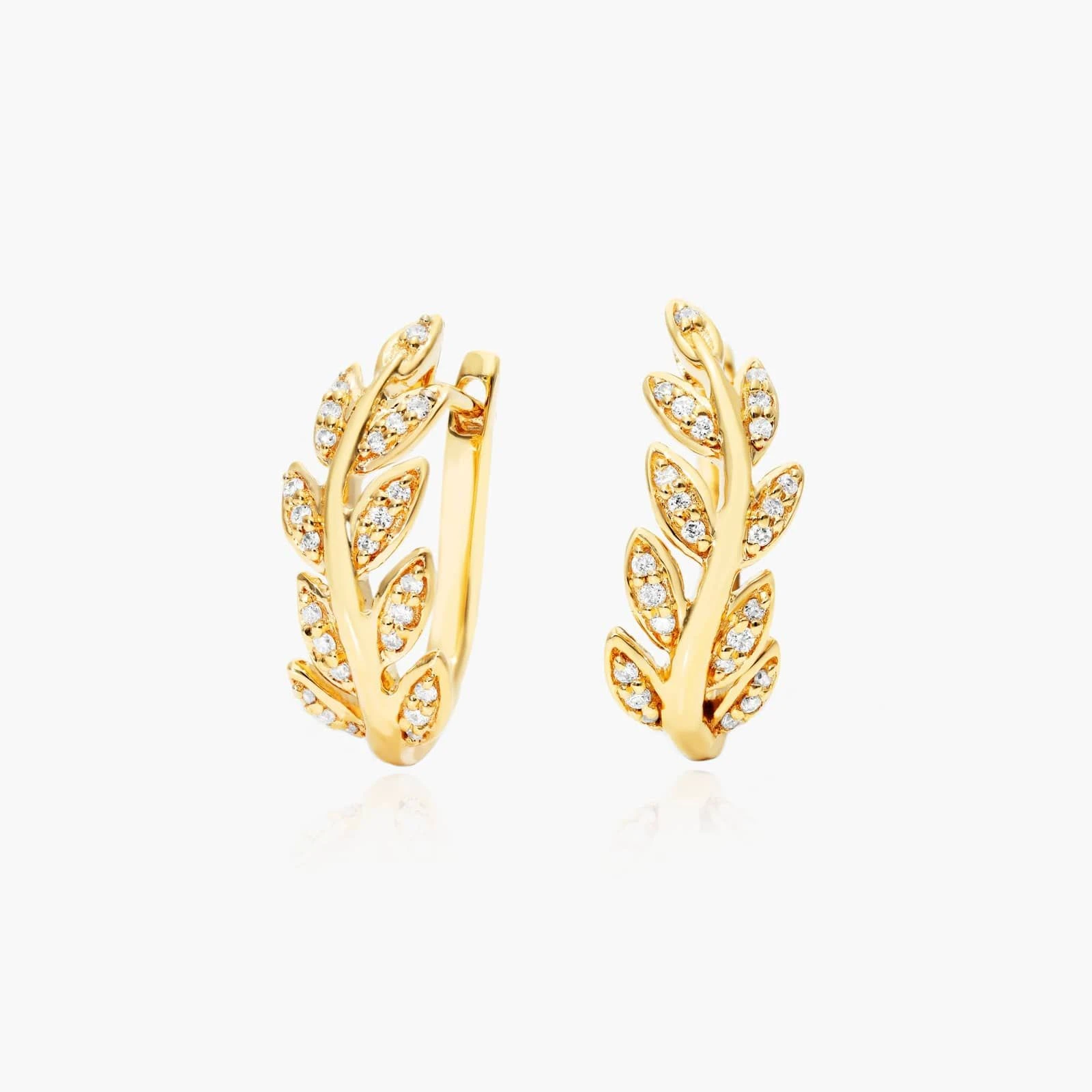 Product Image.